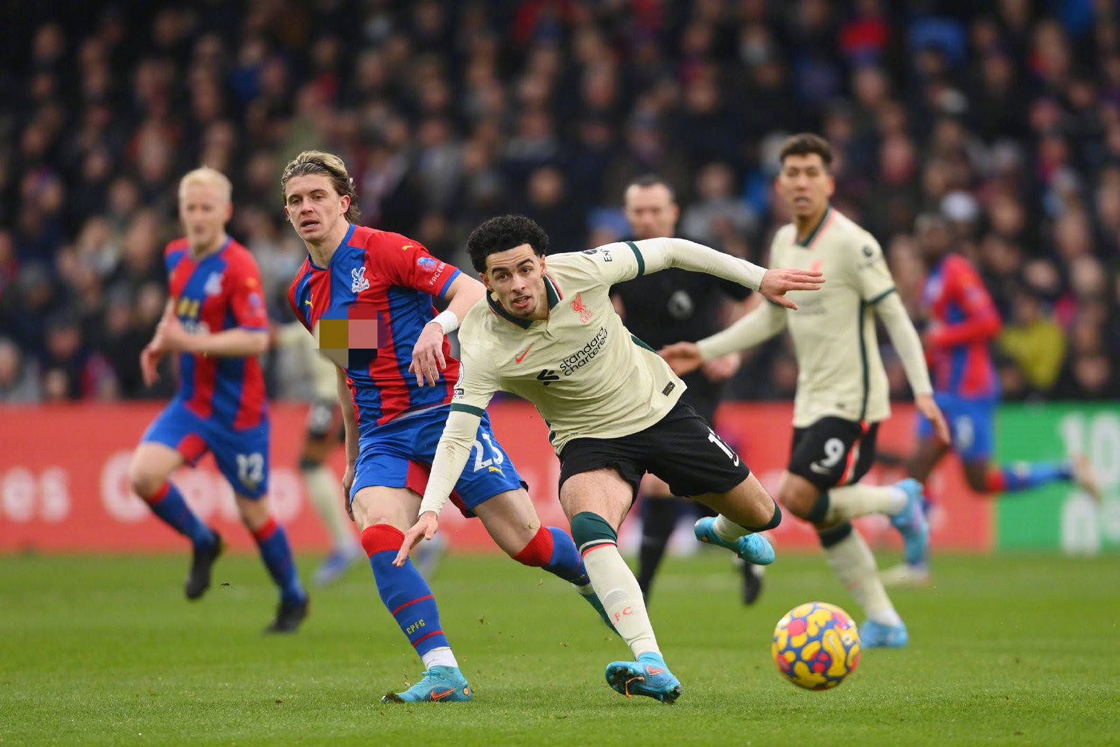 廈門城市文 廈門城市文